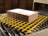 Material Handling Conveyor